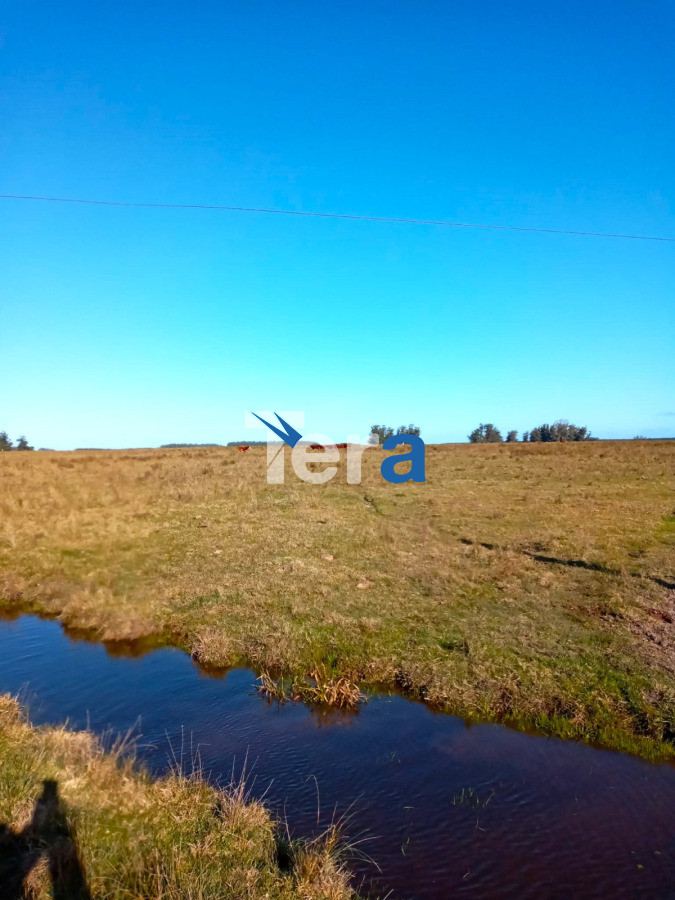 Casa ID.21234 - csasa ideal ivner