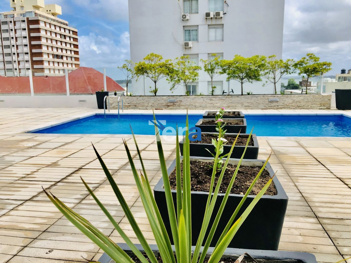 Casa ID.20728 - sasfadsfafsadfsdafa