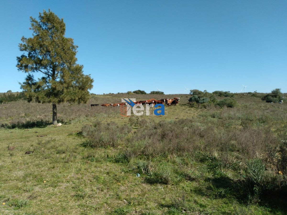 Casa ID.20738 - dfadsfsadsfadsfadsf