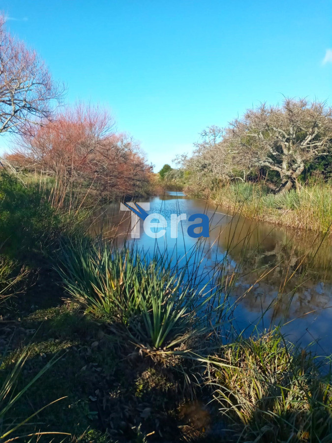 Casa ID.21234 - csasa ideal ivner