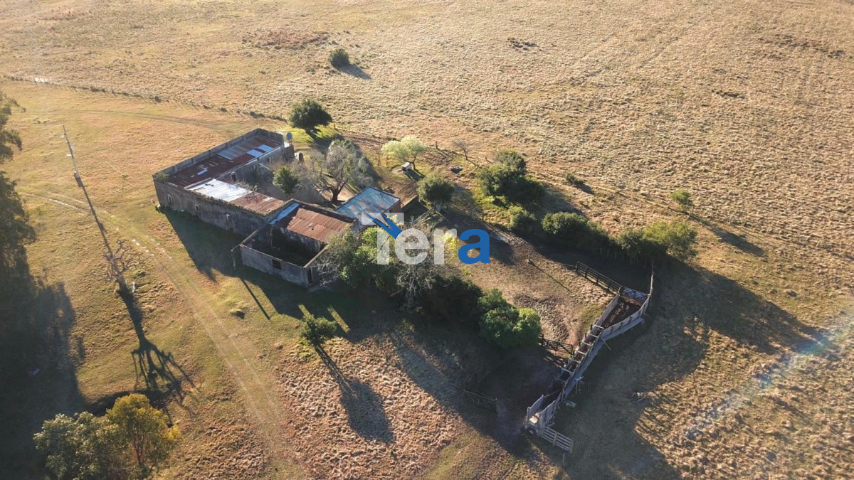 Campo Ref.20461 - dfasdfsda
