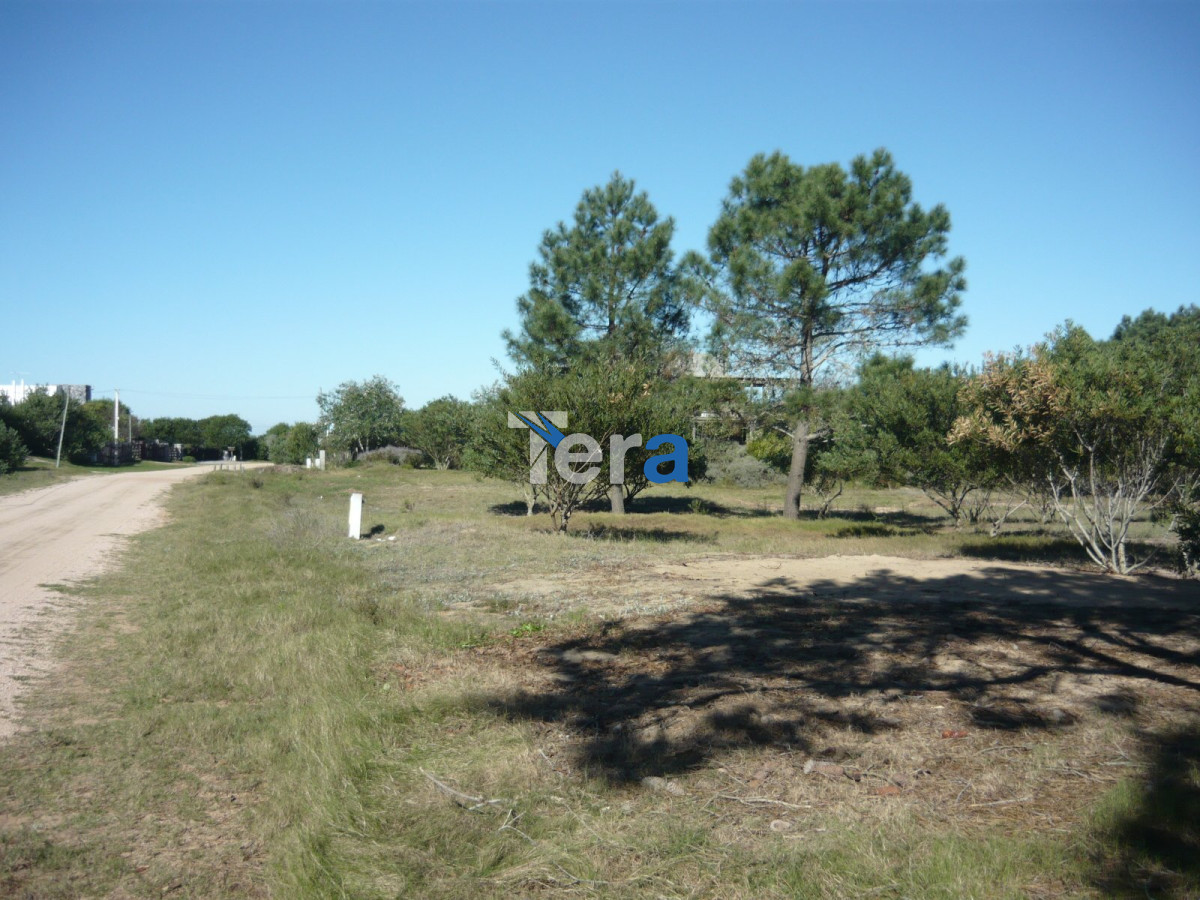 Campo Ref.20009 - fasdfsdaf