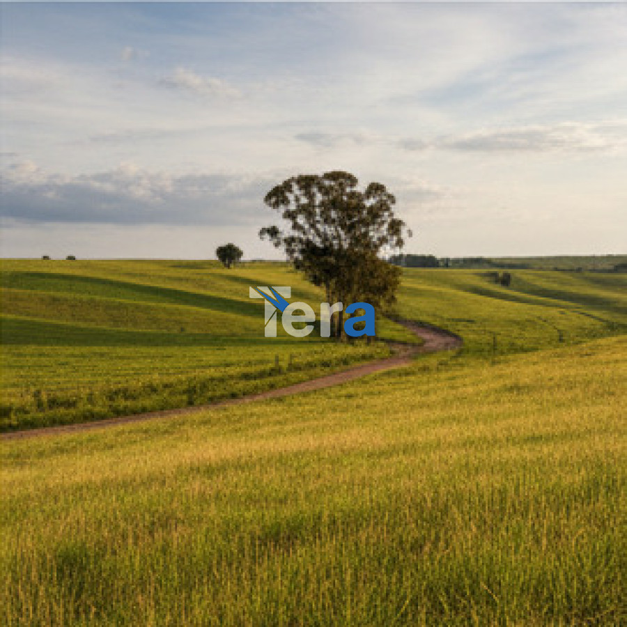 Terreno ID.21538 - Terreno de 2500m² en Jardines de 33 para la venta.