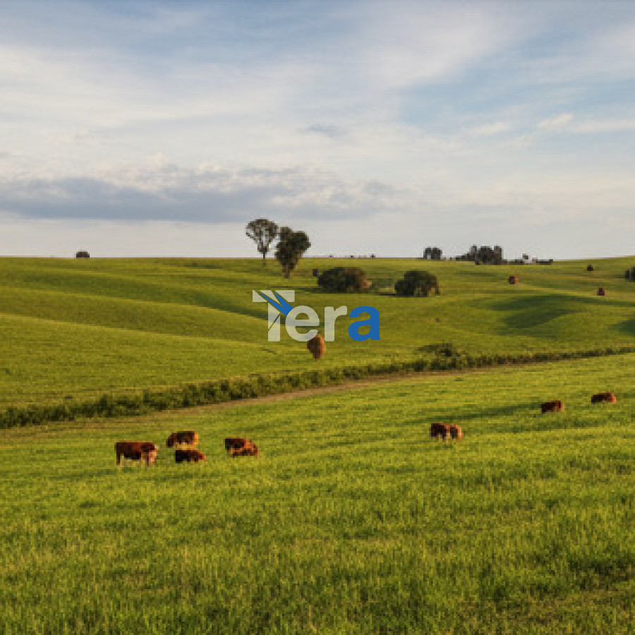 Terreno ID.21538 - Terreno de 2500m² en Jardines de 33 para la venta.