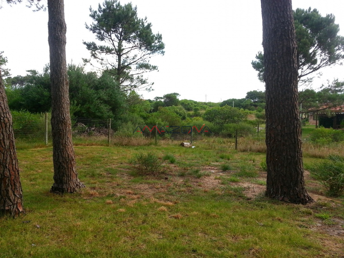 Casa ID.5074 - Chihuahua Punta Ballena es ahora una de las ubicaciones más modernas y cosmopolitas de Punta del Este, ya que aún combina un paisaje natural virgen co