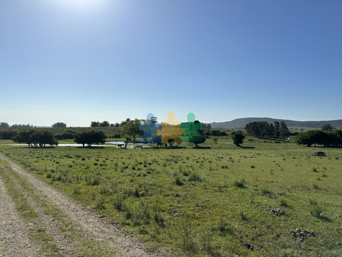 Chacra ID.799 - PUEBLO EDEN VENTA DE CHACRA DE 5 HA PRECIO REBAJADO