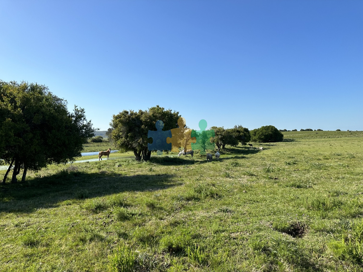 Chacra ID.799 - PUEBLO EDEN VENTA DE CHACRA DE 5 HA PRECIO REBAJADO