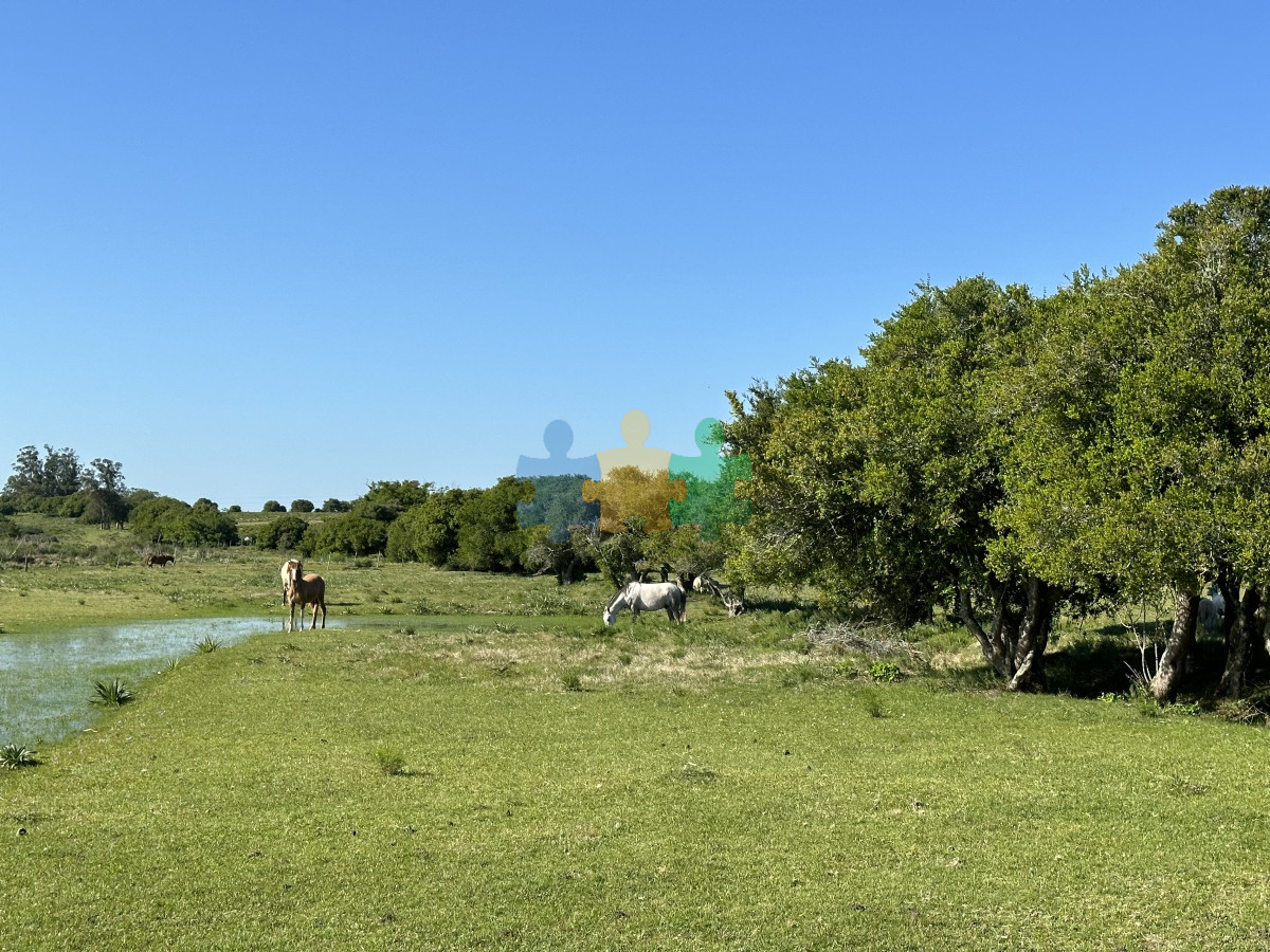 Chacra ID.799 - PUEBLO EDEN VENTA DE CHACRA DE 5 HA PRECIO REBAJADO