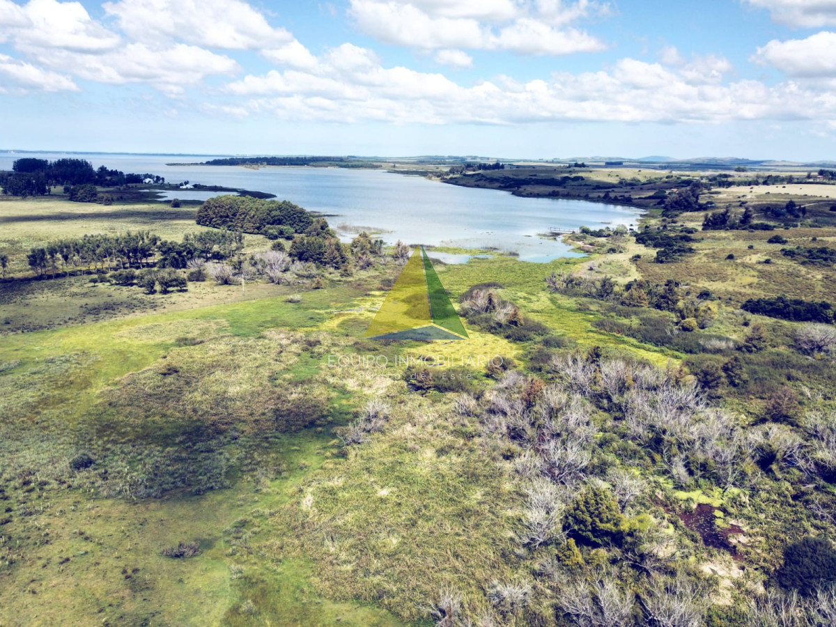 Campo  Ruta 12, venta, 33 hectareas sobre La Laguna, Punta Ballena - Ref : EQP8432 - EQU8432P