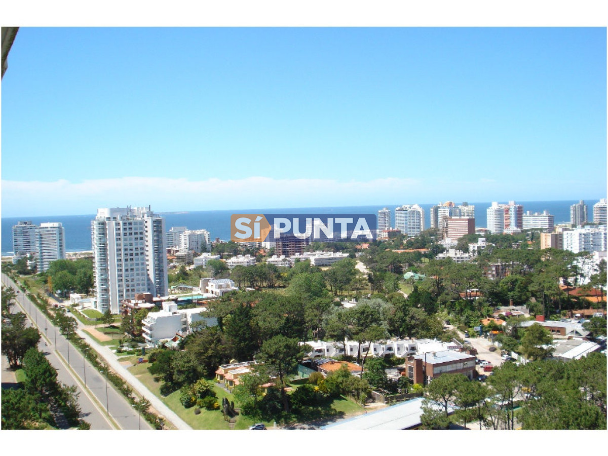 FRENTE A PUNTA SHOPPING, EXCELENTE UBICACIÓN, PISO ALTO. ALQUILER ANUAL Y TEMPORAL - SPT5928A