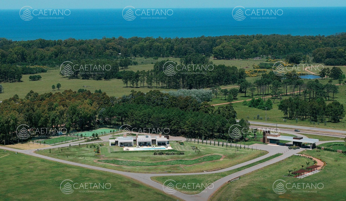 Laguna de los Cisnes - GoPunta - Portal Inmobiliario de Punta del Este - Maldonado