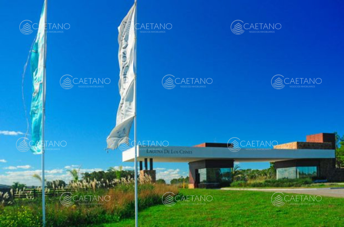 Laguna de los Cisnes - GoPunta - Portal Inmobiliario de Punta del Este - Maldonado