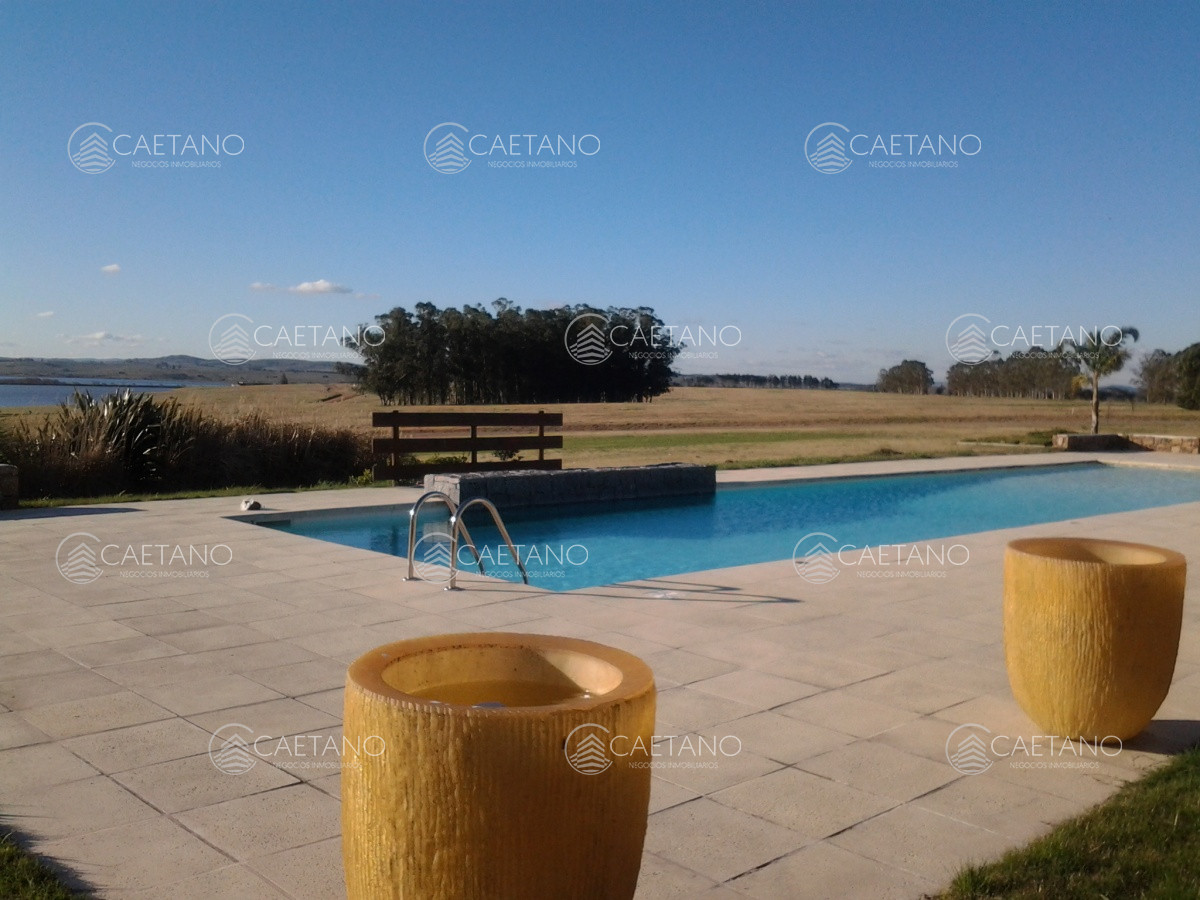 Laguna de los Cisnes - GoPunta - Portal Inmobiliario de Punta del Este - Maldonado