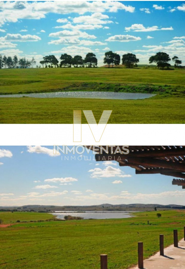 Terreno ID.1583 - 50 metros de costa, acepta financiacion sin interes, venta, chacra, Punta del Este, Uruguay, LAGUNA DE LOS CISNES