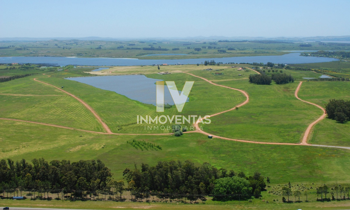 Terreno ID.1583 - 50 metros de costa, acepta financiacion sin interes, venta, chacra, Punta del Este, Uruguay, LAGUNA DE LOS CISNES