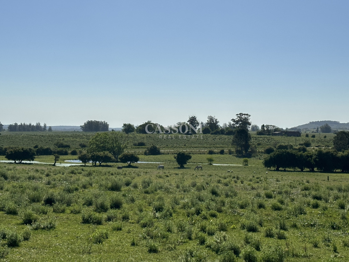 Chacra ID.3311 - PUEBLO EDEN VENTA DE CHACRA DE 5 HA PRECIO REBAJADO