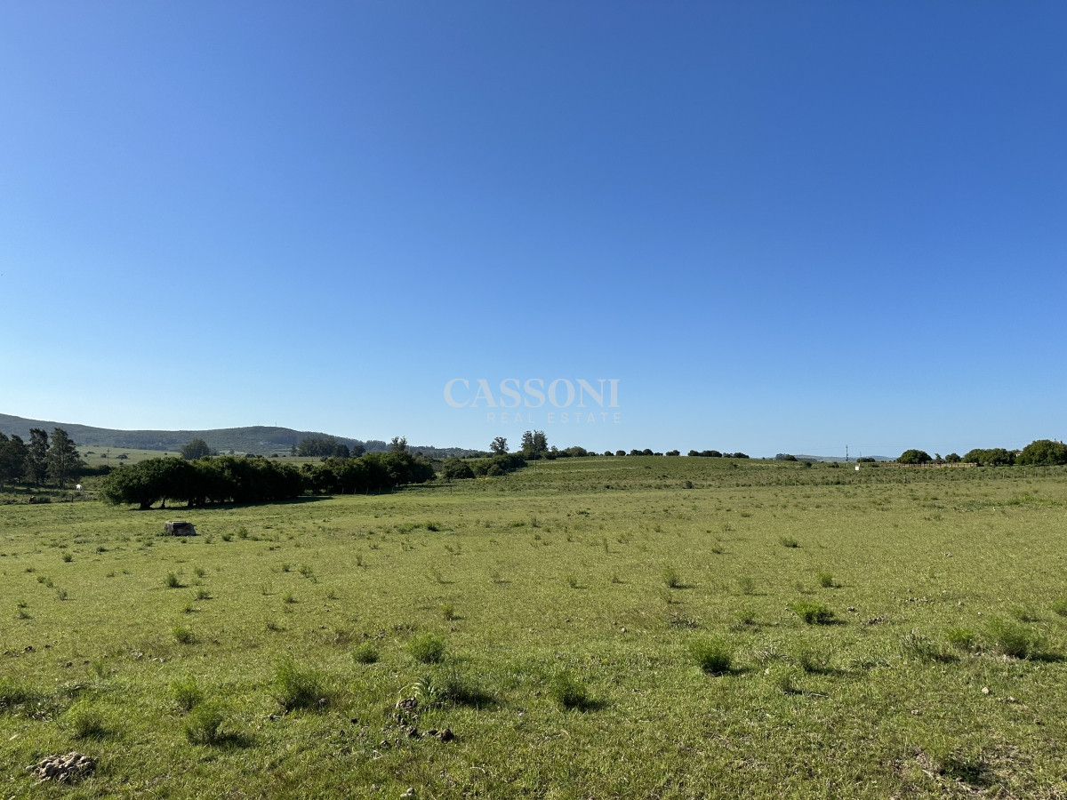 Chacra ID.3311 - PUEBLO EDEN VENTA DE CHACRA DE 5 HA PRECIO REBAJADO