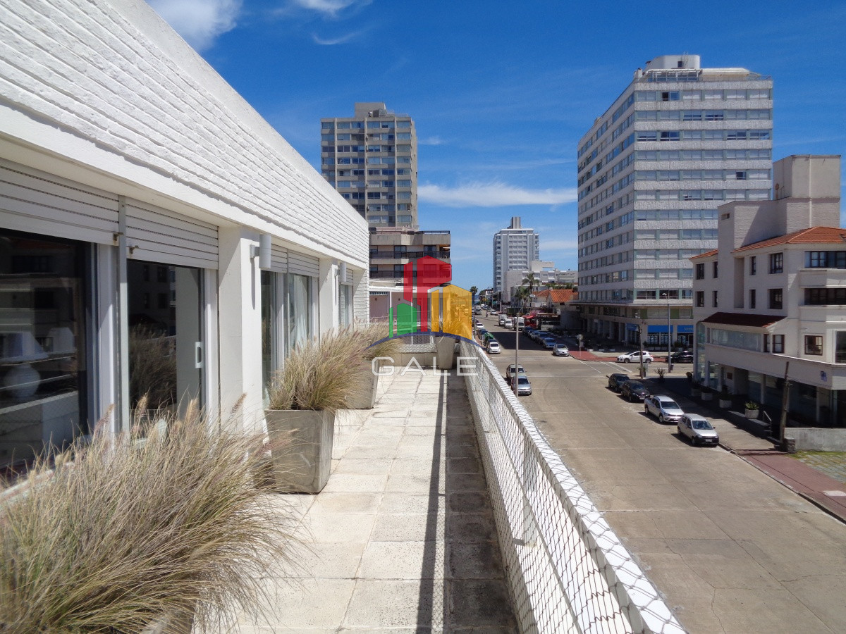 Península - GoPunta - Portal Inmobiliario de Punta del Este - Maldonado