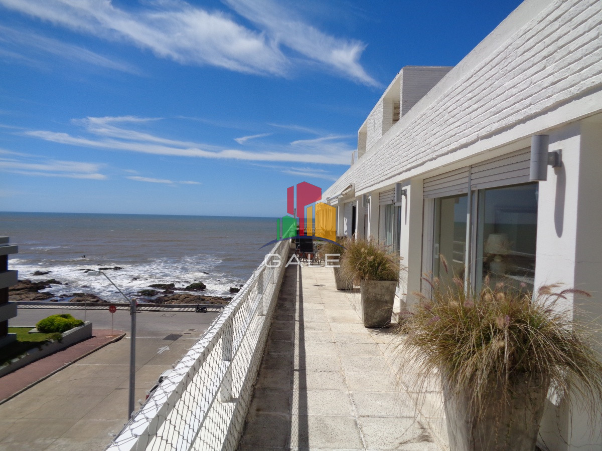 Península - GoPunta - Portal Inmobiliario de Punta del Este - Maldonado
