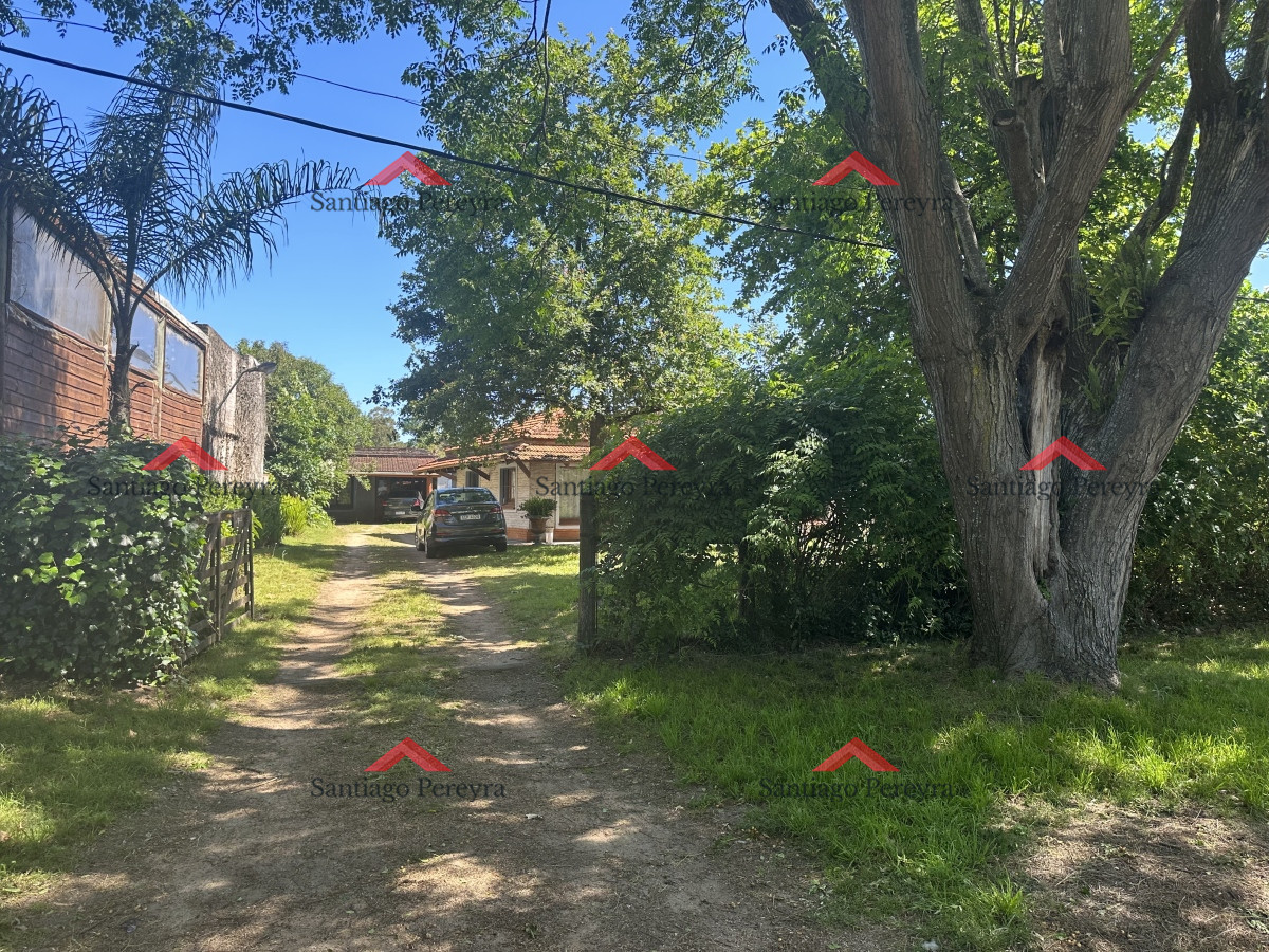 Altos del Pinar - GoPunta - Portal Inmobiliario de Punta del Este - Maldonado