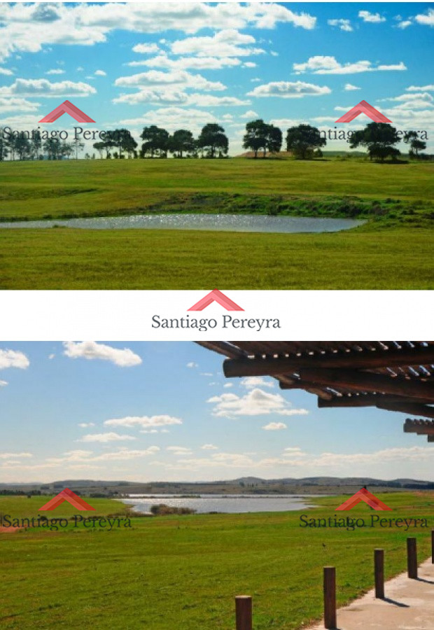 Terreno ID.6383 - 50 metros de costa, acepta financiacion sin interes, venta, chacra, Punta del Este, Uruguay, LAGUNA DE LOS CISNES