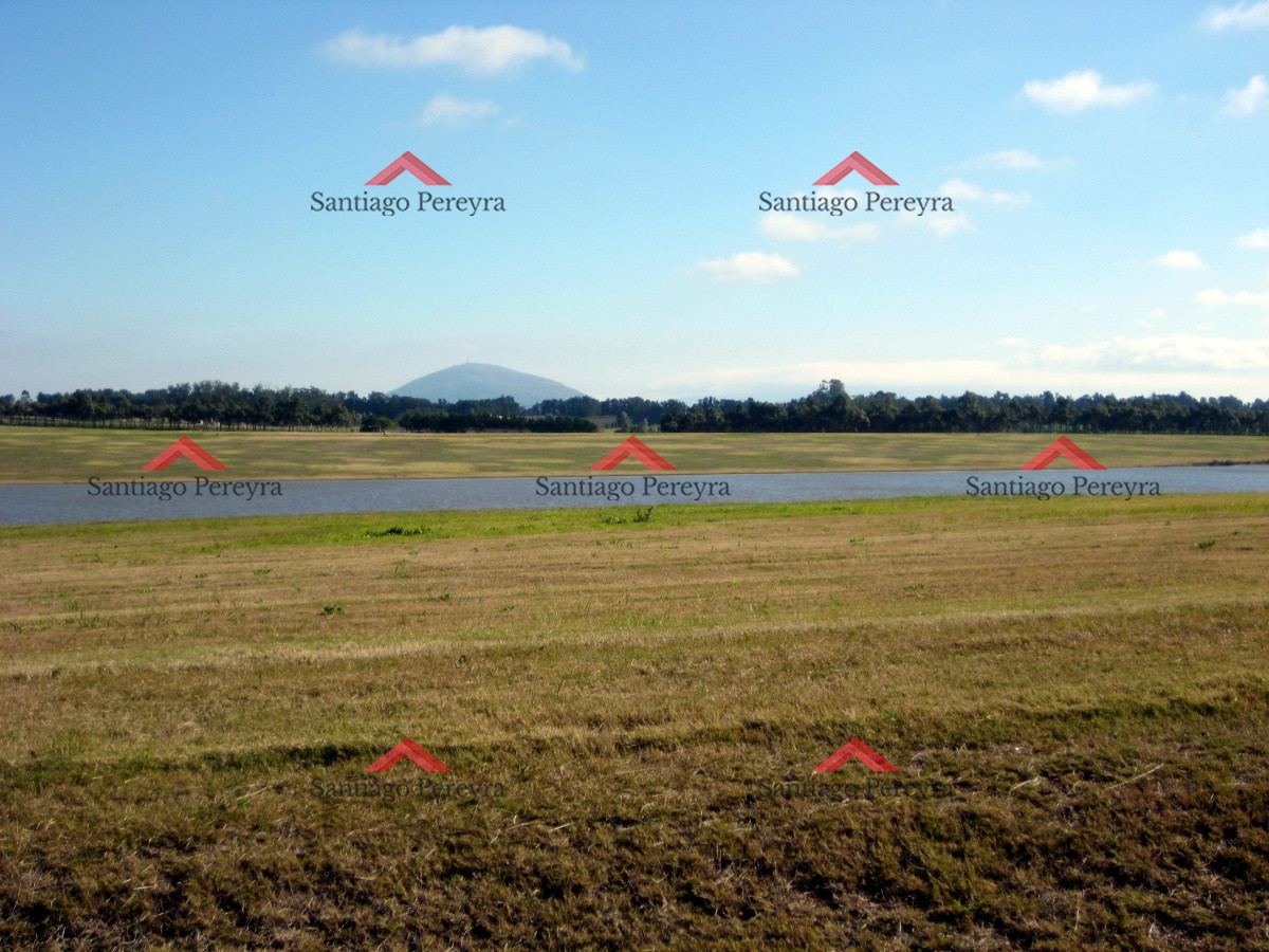 Terreno ID.6383 - 50 metros de costa, acepta financiacion sin interes, venta, chacra, Punta del Este, Uruguay, LAGUNA DE LOS CISNES