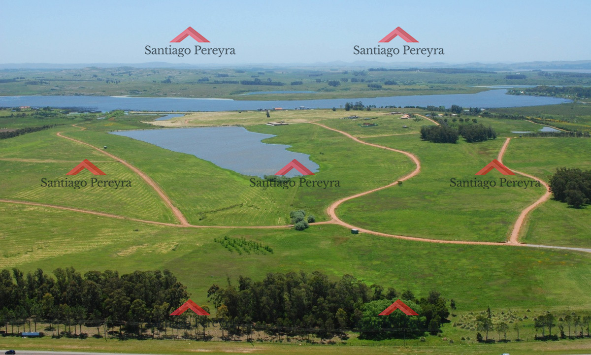 Terreno ID.6383 - 50 metros de costa, acepta financiacion sin interes, venta, chacra, Punta del Este, Uruguay, LAGUNA DE LOS CISNES