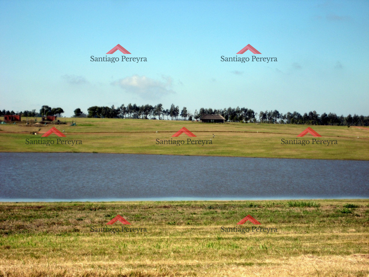 Terreno ID.6383 - 50 metros de costa, acepta financiacion sin interes, venta, chacra, Punta del Este, Uruguay, LAGUNA DE LOS CISNES