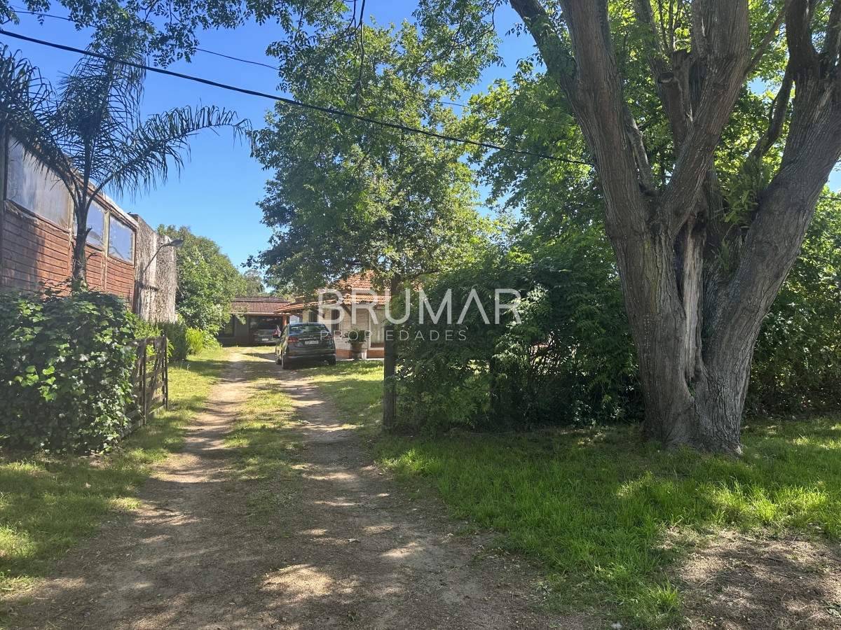 Altos del Pinar - GoPunta - Portal Inmobiliario de Punta del Este - Maldonado