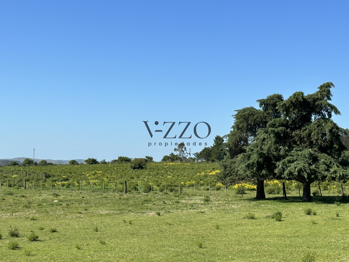 Chacra ID.1172/PUEBLO-EDEN-VENTA-DE-CHACRA-DE-5-HA-PRECIO-REBAJADO - PUEBLO EDEN VENTA DE CHACRA DE 5 HA PRECIO REBAJADO