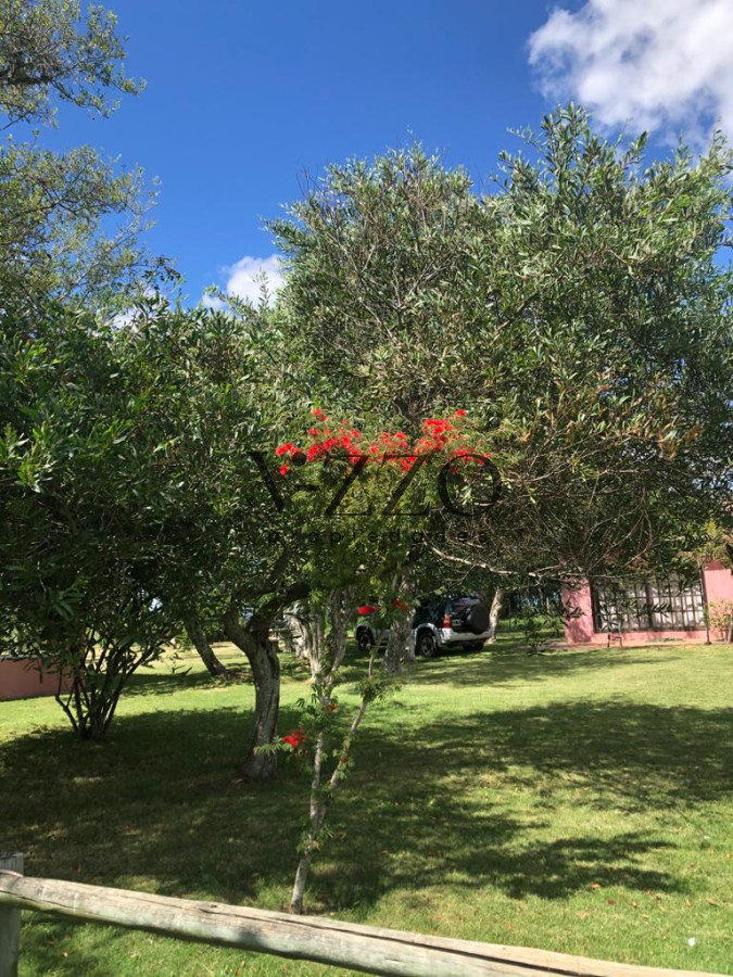 Chacra ID.1172/PUEBLO-EDEN-VENTA-DE-CHACRA-DE-5-HA-PRECIO-REBAJADO - PUEBLO EDEN VENTA DE CHACRA DE 5 HA PRECIO REBAJADO