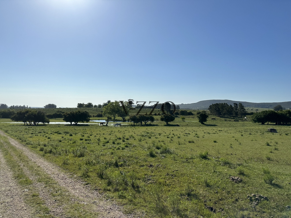 Chacra ID.1172/PUEBLO-EDEN-VENTA-DE-CHACRA-DE-5-HA-PRECIO-REBAJADO - PUEBLO EDEN VENTA DE CHACRA DE 5 HA PRECIO REBAJADO