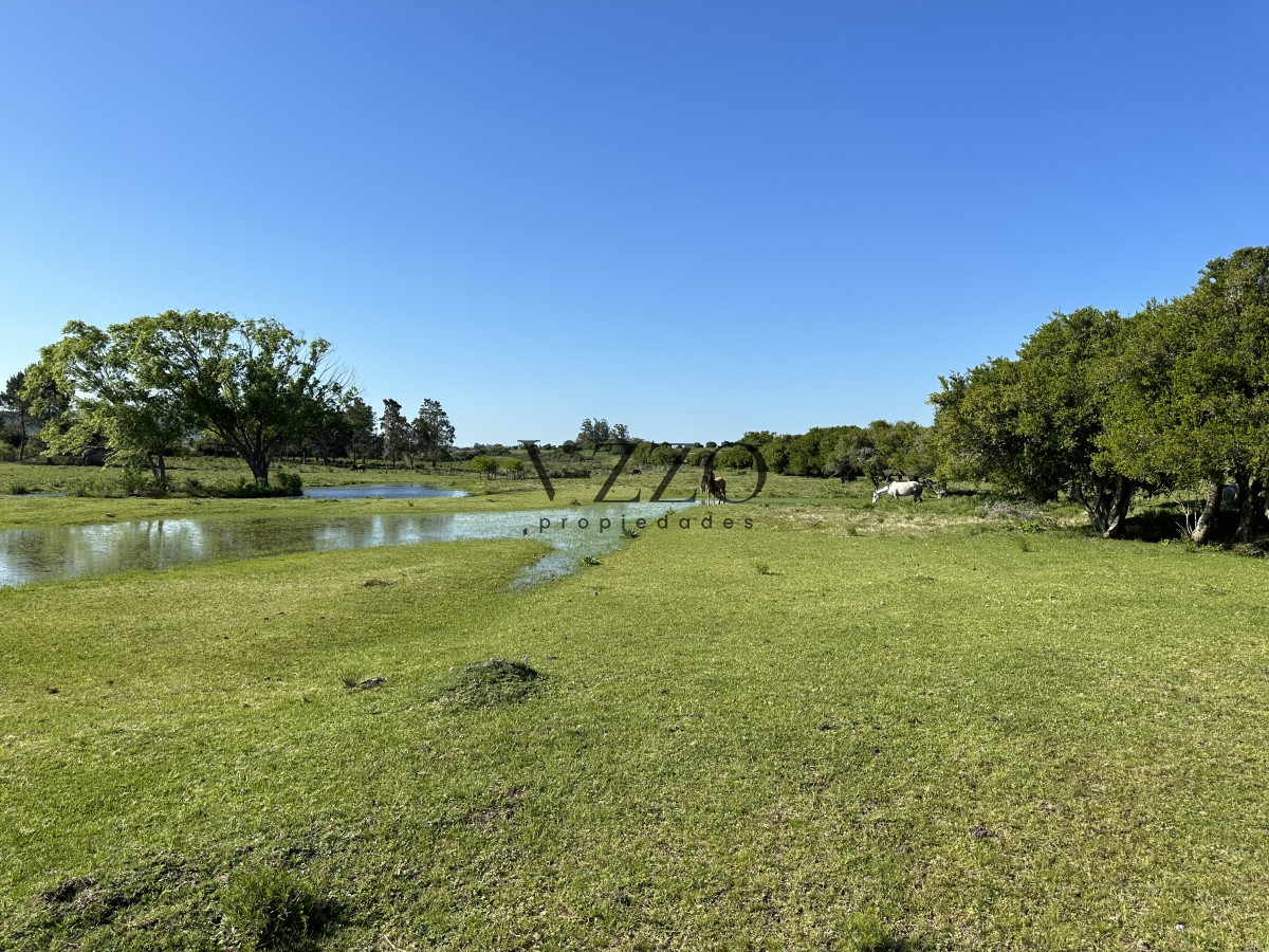 Chacra ID.1172/PUEBLO-EDEN-VENTA-DE-CHACRA-DE-5-HA-PRECIO-REBAJADO - PUEBLO EDEN VENTA DE CHACRA DE 5 HA PRECIO REBAJADO