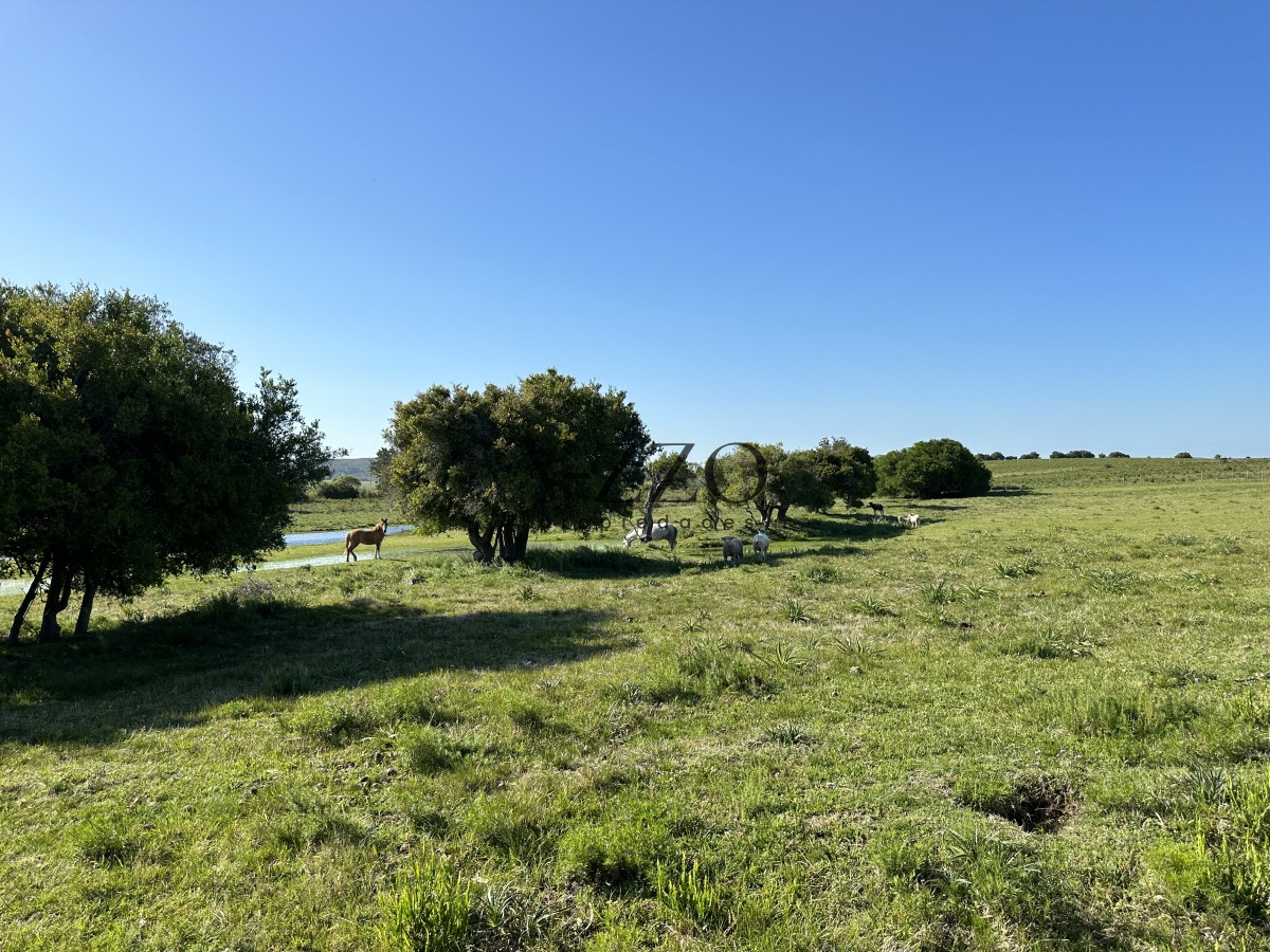 Chacra ID.1172/PUEBLO-EDEN-VENTA-DE-CHACRA-DE-5-HA-PRECIO-REBAJADO - PUEBLO EDEN VENTA DE CHACRA DE 5 HA PRECIO REBAJADO