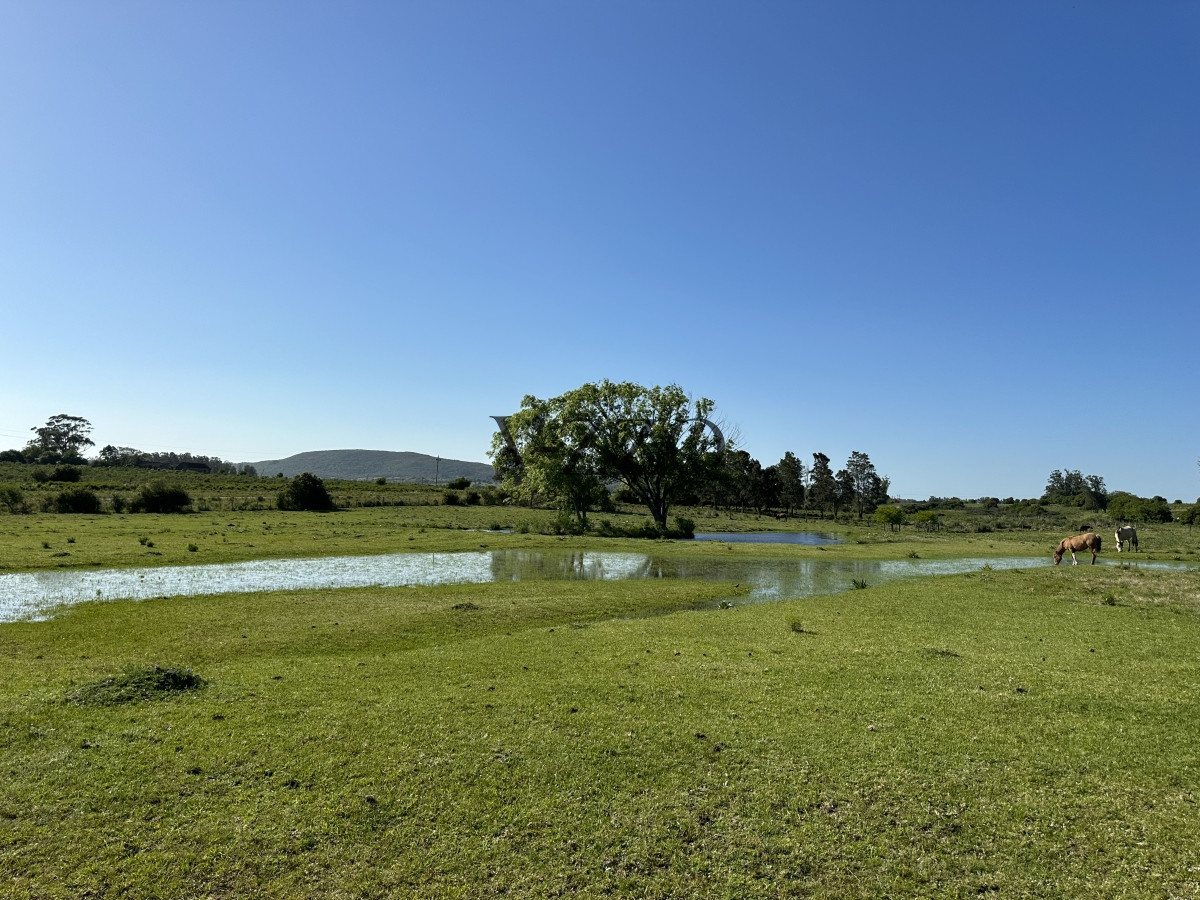 Chacra ID.1172/PUEBLO-EDEN-VENTA-DE-CHACRA-DE-5-HA-PRECIO-REBAJADO - PUEBLO EDEN VENTA DE CHACRA DE 5 HA PRECIO REBAJADO