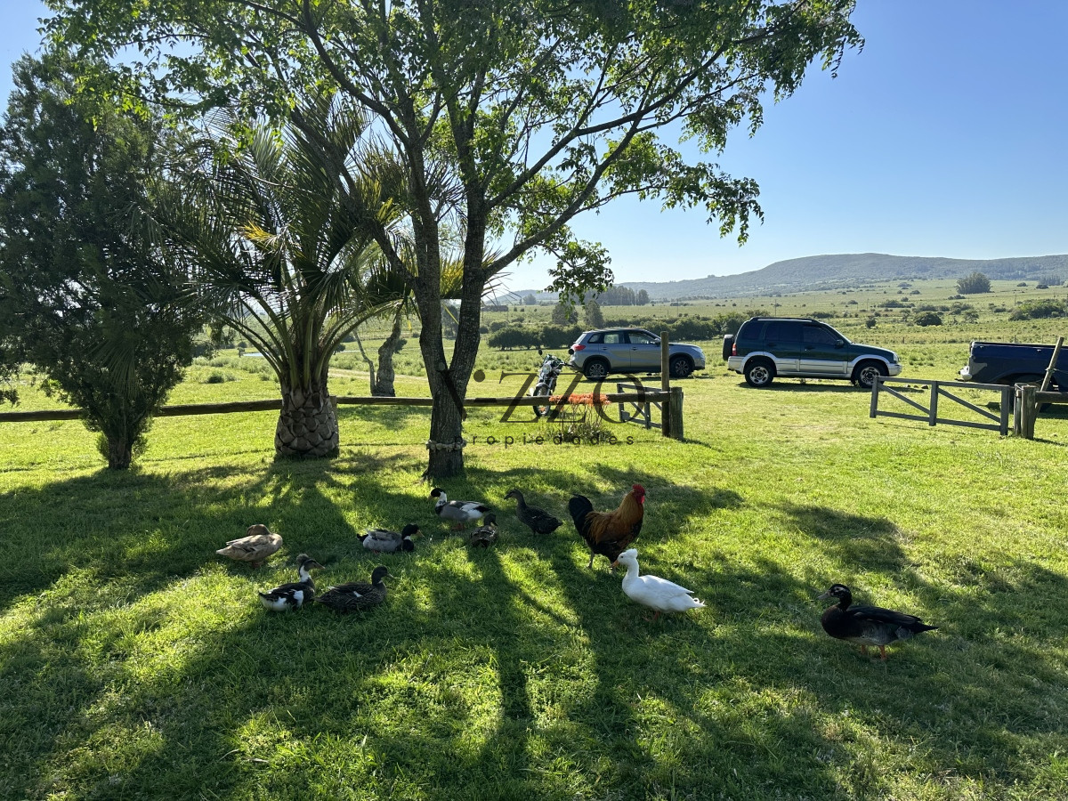 Chacra ID.1172/PUEBLO-EDEN-VENTA-DE-CHACRA-DE-5-HA-PRECIO-REBAJADO - PUEBLO EDEN VENTA DE CHACRA DE 5 HA PRECIO REBAJADO