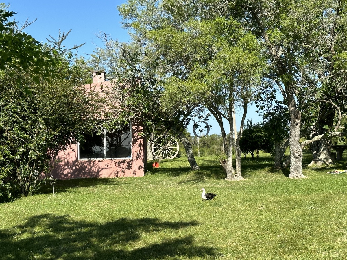 Chacra ID.1172/PUEBLO-EDEN-VENTA-DE-CHACRA-DE-5-HA-PRECIO-REBAJADO - PUEBLO EDEN VENTA DE CHACRA DE 5 HA PRECIO REBAJADO