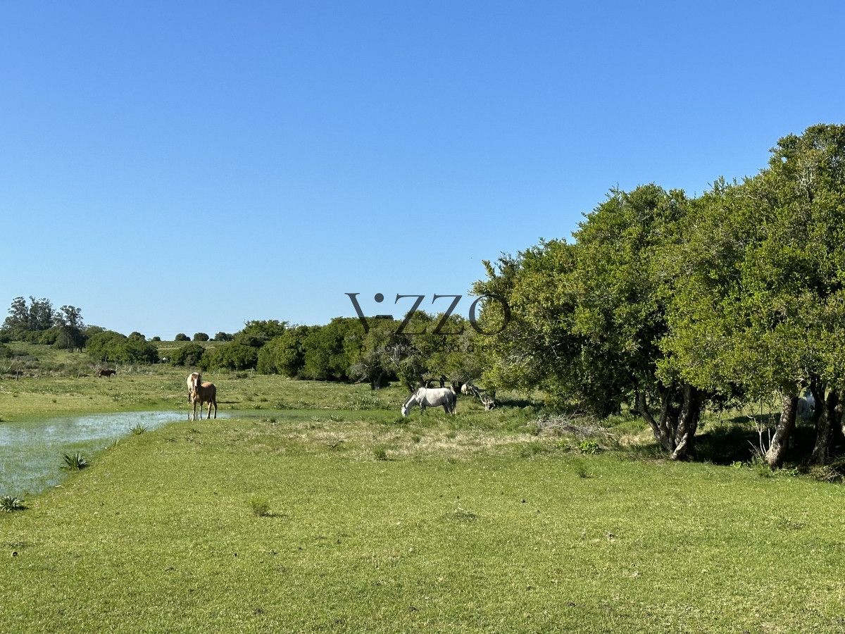 Chacra ID.1172/PUEBLO-EDEN-VENTA-DE-CHACRA-DE-5-HA-PRECIO-REBAJADO - PUEBLO EDEN VENTA DE CHACRA DE 5 HA PRECIO REBAJADO