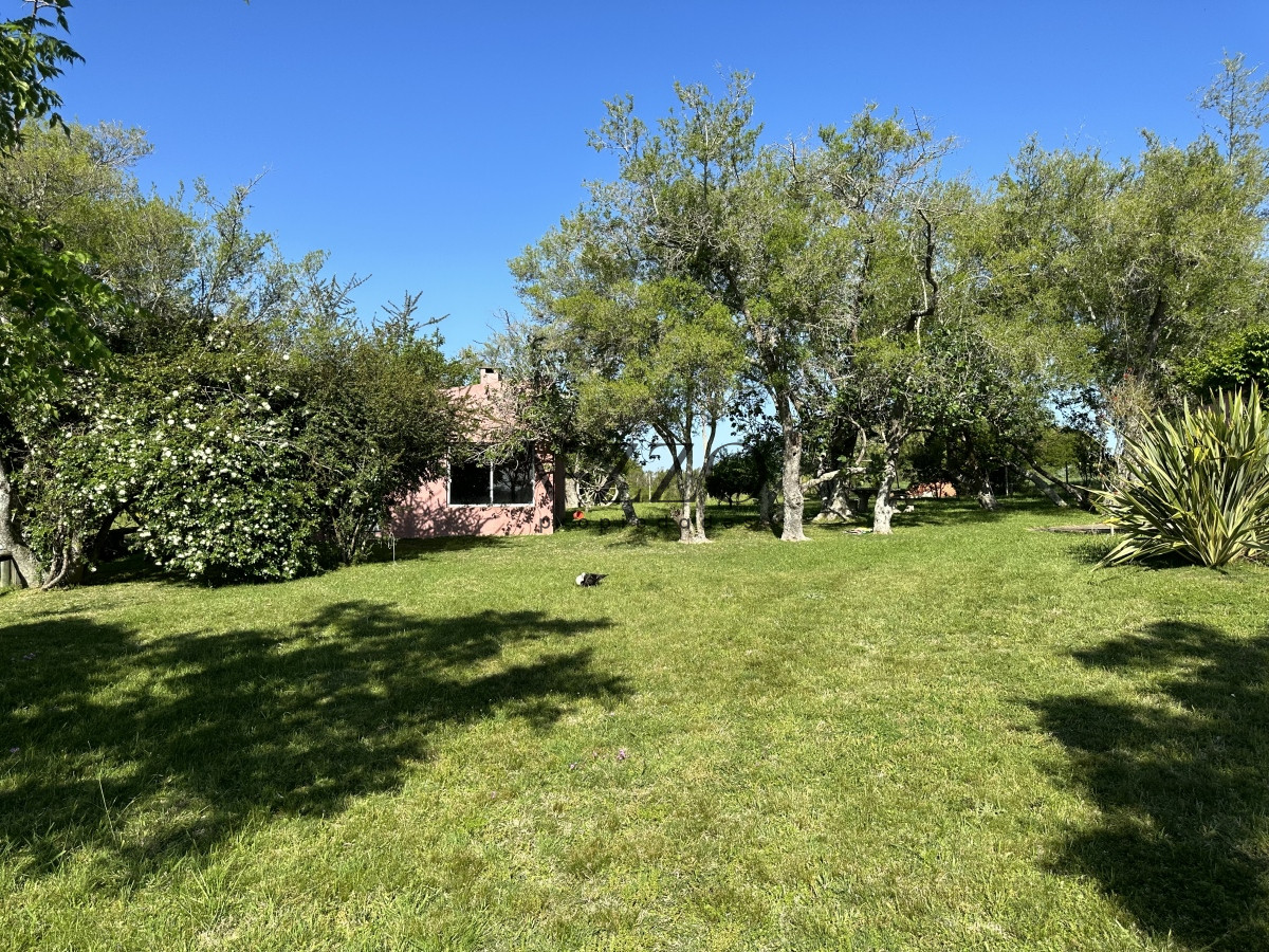 Chacra ID.1172/PUEBLO-EDEN-VENTA-DE-CHACRA-DE-5-HA-PRECIO-REBAJADO - PUEBLO EDEN VENTA DE CHACRA DE 5 HA PRECIO REBAJADO