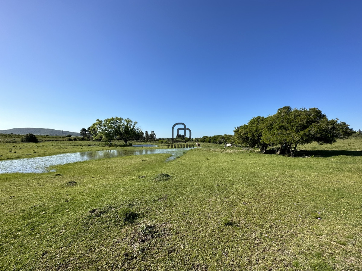 Chacra ID.1425 - PUEBLO EDEN , OPORTUNIDAD, Chacra 5ha