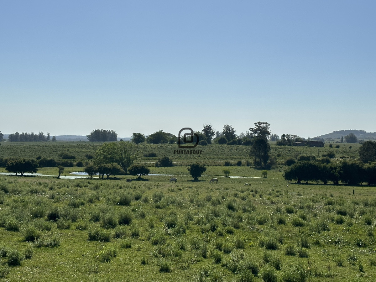 Chacra ID.1425 - PUEBLO EDEN , OPORTUNIDAD, Chacra 5ha