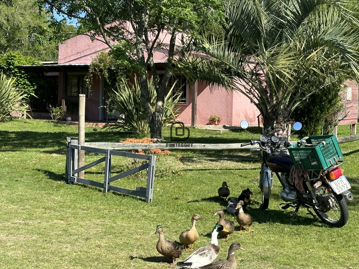 Chacra ID.1425 - PUEBLO EDEN , OPORTUNIDAD, Chacra 5ha