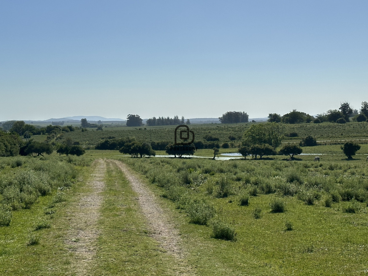 Chacra ID.1425 - PUEBLO EDEN , OPORTUNIDAD, Chacra 5ha