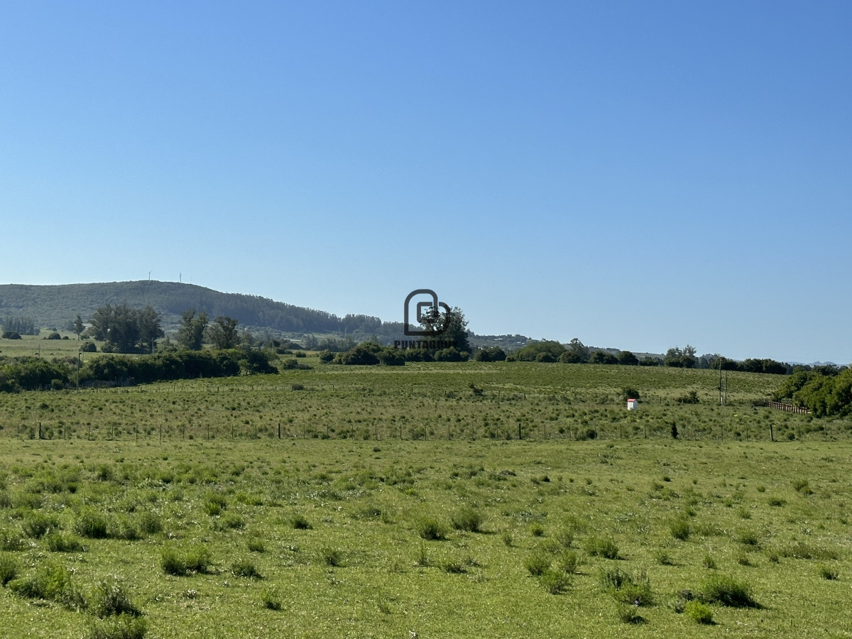 Chacra ID.1425 - PUEBLO EDEN , OPORTUNIDAD, Chacra 5ha
