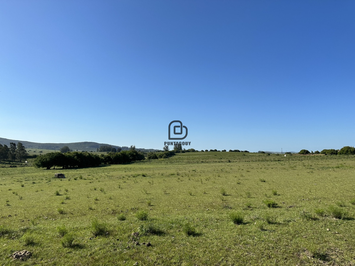 Chacra ID.1425 - PUEBLO EDEN , OPORTUNIDAD, Chacra 5ha