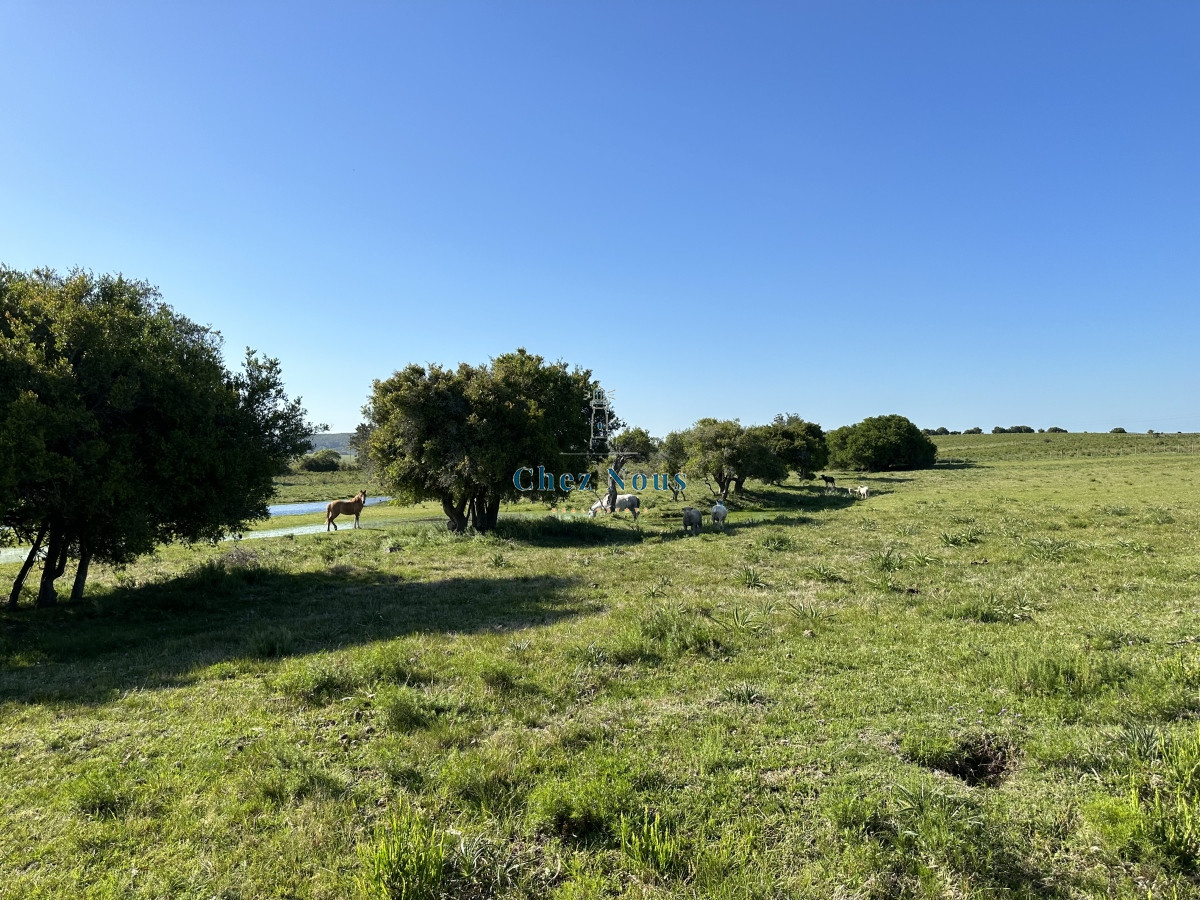 Chacra ID.371 - PUEBLO EDEN VENTA DE CHACRA DE 5 HA PRECIO REBAJADO