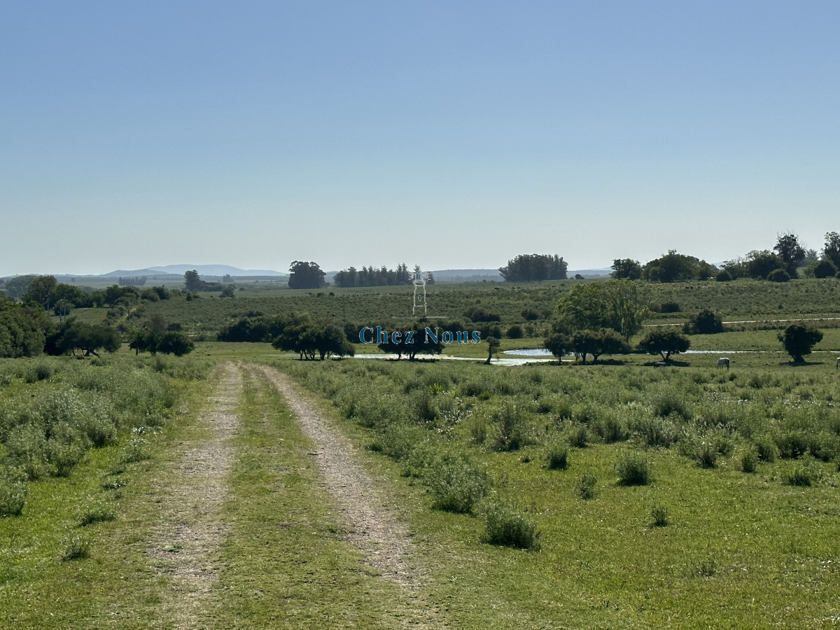 Chacra ID.371 - PUEBLO EDEN VENTA DE CHACRA DE 5 HA PRECIO REBAJADO