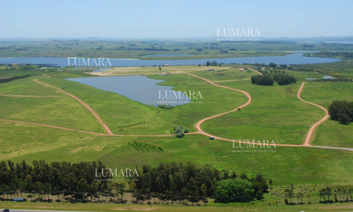 Terreno ID.3011 - 50 metros de costa, acepta financiacion, venta, chacra, Punta del Este, Uruguay, LAGUNA DE LOS CISNES