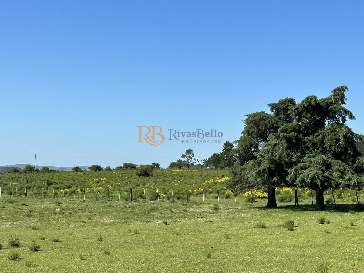 Chacra ID.92 - PUEBLO EDEN VENTA DE CHACRA DE 5 HA PRECIO REBAJADO