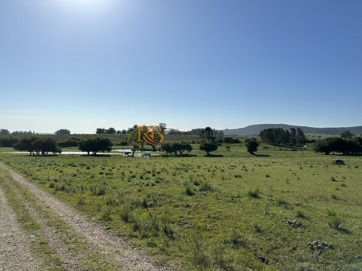 Chacra ID.92 - PUEBLO EDEN VENTA DE CHACRA DE 5 HA PRECIO REBAJADO